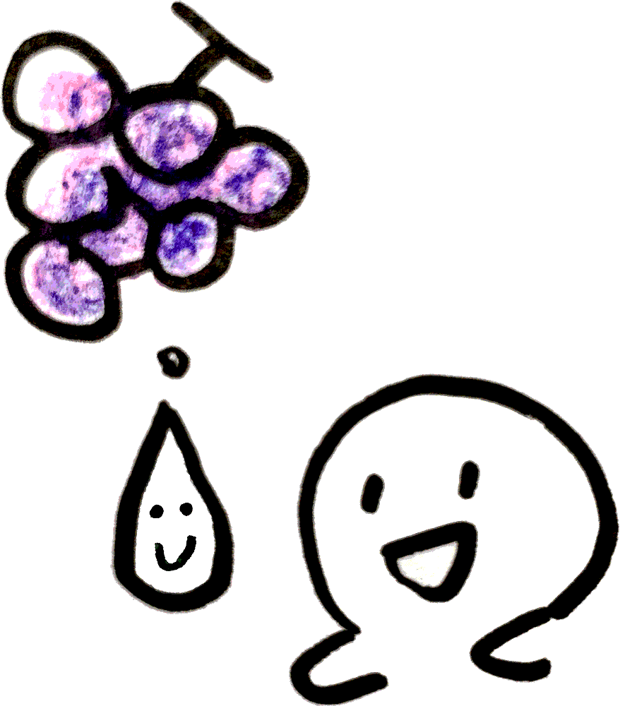秋の果実ブドウの房を見つめる人のイラスト